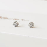 Diana Plastic Resin Earrings