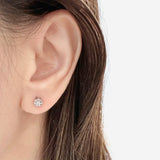 Diana Plastic Resin Earrings