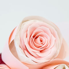 Forever Yours Gift Box