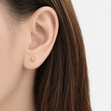 Rose Gold North Star Earrings